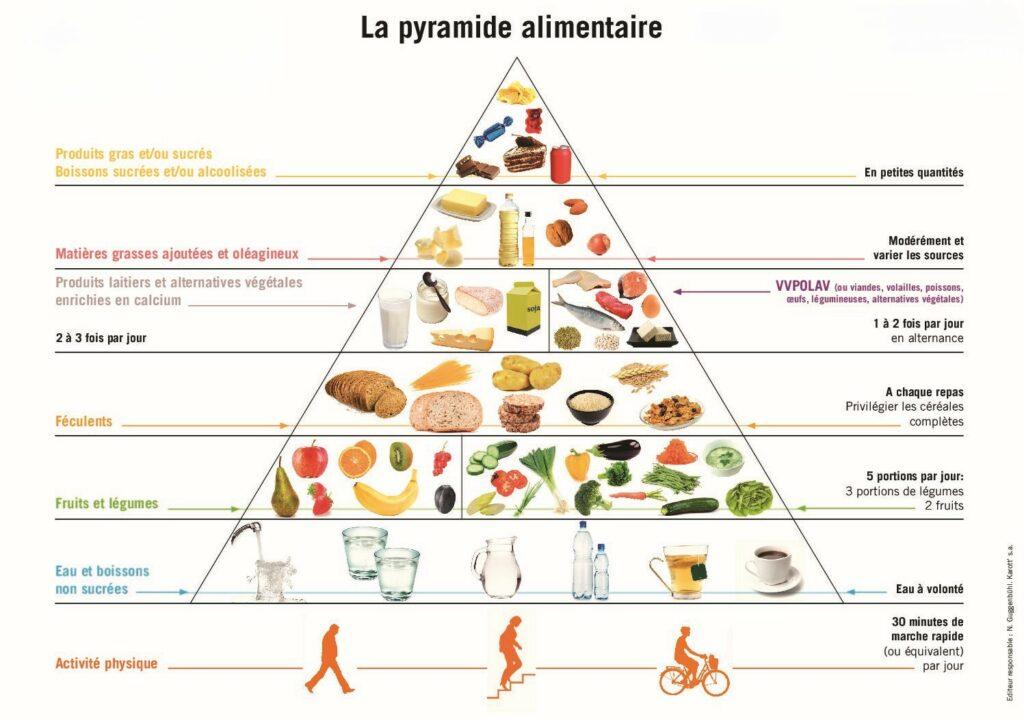 Pyramide alimentaire ronarch diététicienne versailles menopause pertedepoids