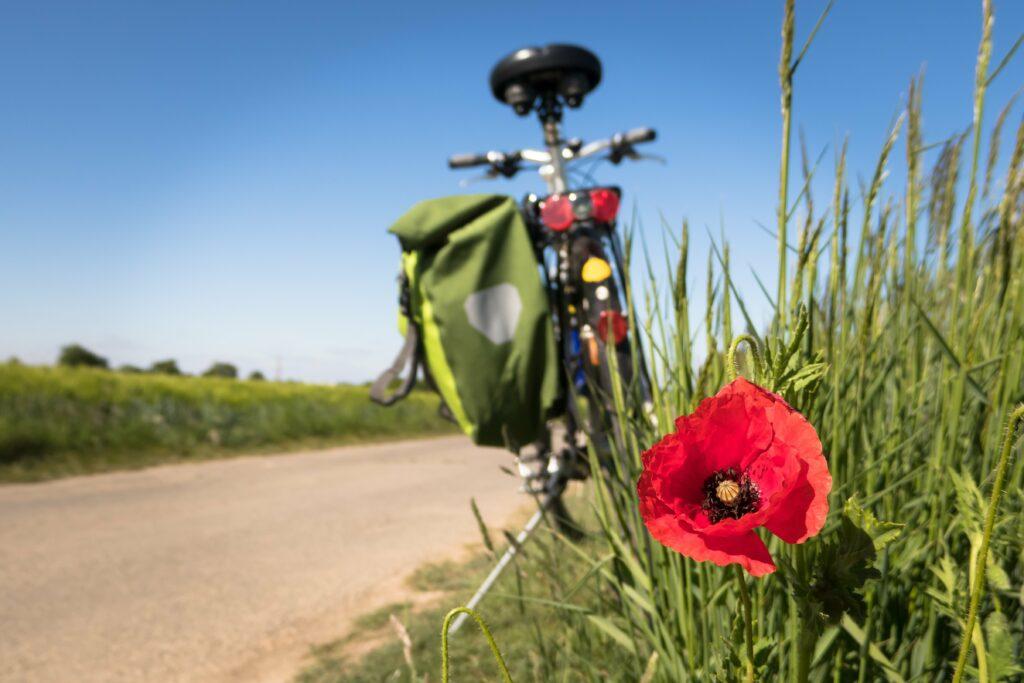 bienfaits activité physique santé